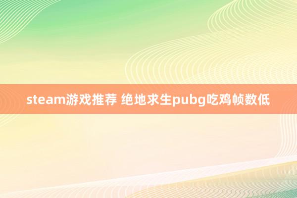 steam游戏推荐 绝地求生pubg吃鸡帧数低