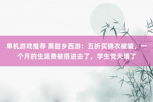 单机游戏推荐 黑甜乡西游：五折买锦衣被骗，一个月的生涯费被搭进去了，学生党天塌了