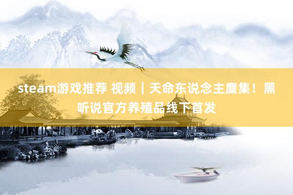 steam游戏推荐 视频｜天命东说念主麇集！黑听说官方养殖品线下首发