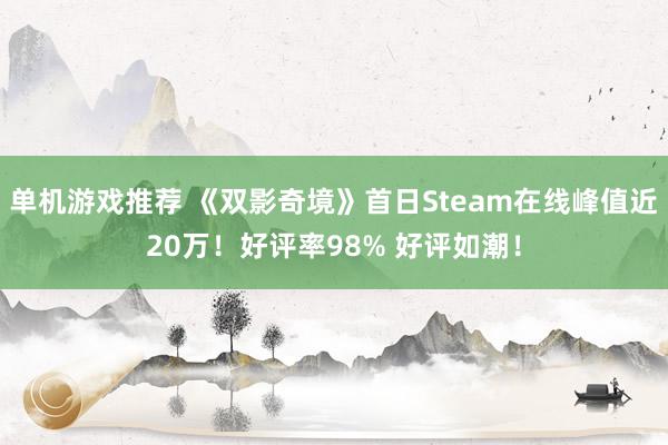 单机游戏推荐 《双影奇境》首日Steam在线峰值近20万！好评率98% 好评如潮！